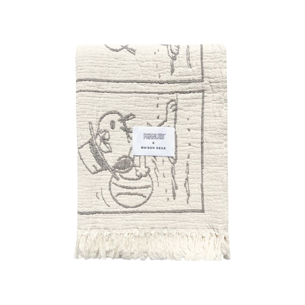 Peanuts Blanket Comic