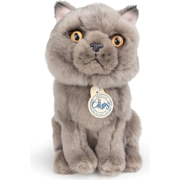 BT Chaps Freddy the British Shorthair Cat Plush in Giftbox – 6.5″